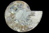 Cut Ammonite Fossil (Half) - Agatized #125569-1
